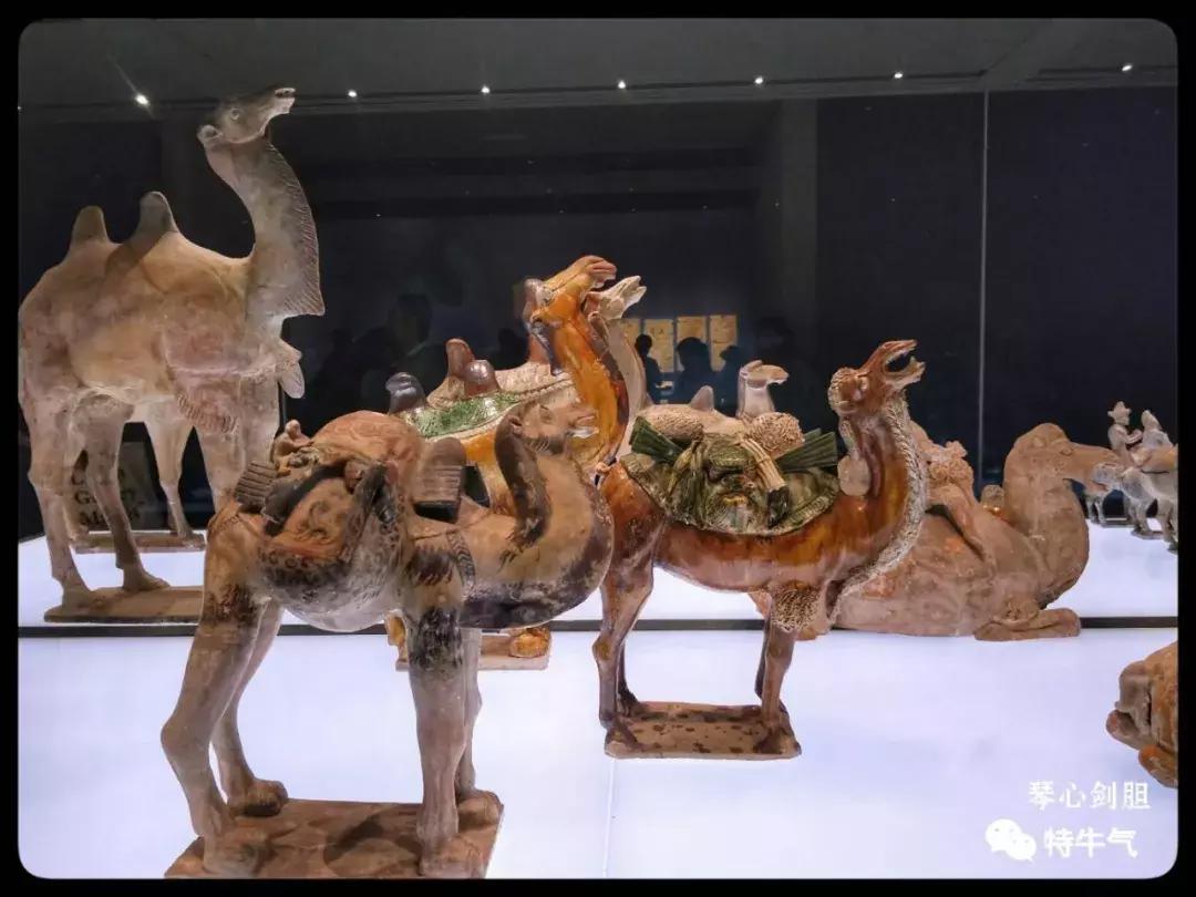 赤金走龙陕西历史博物馆,陕西历史博物馆抢票攻略