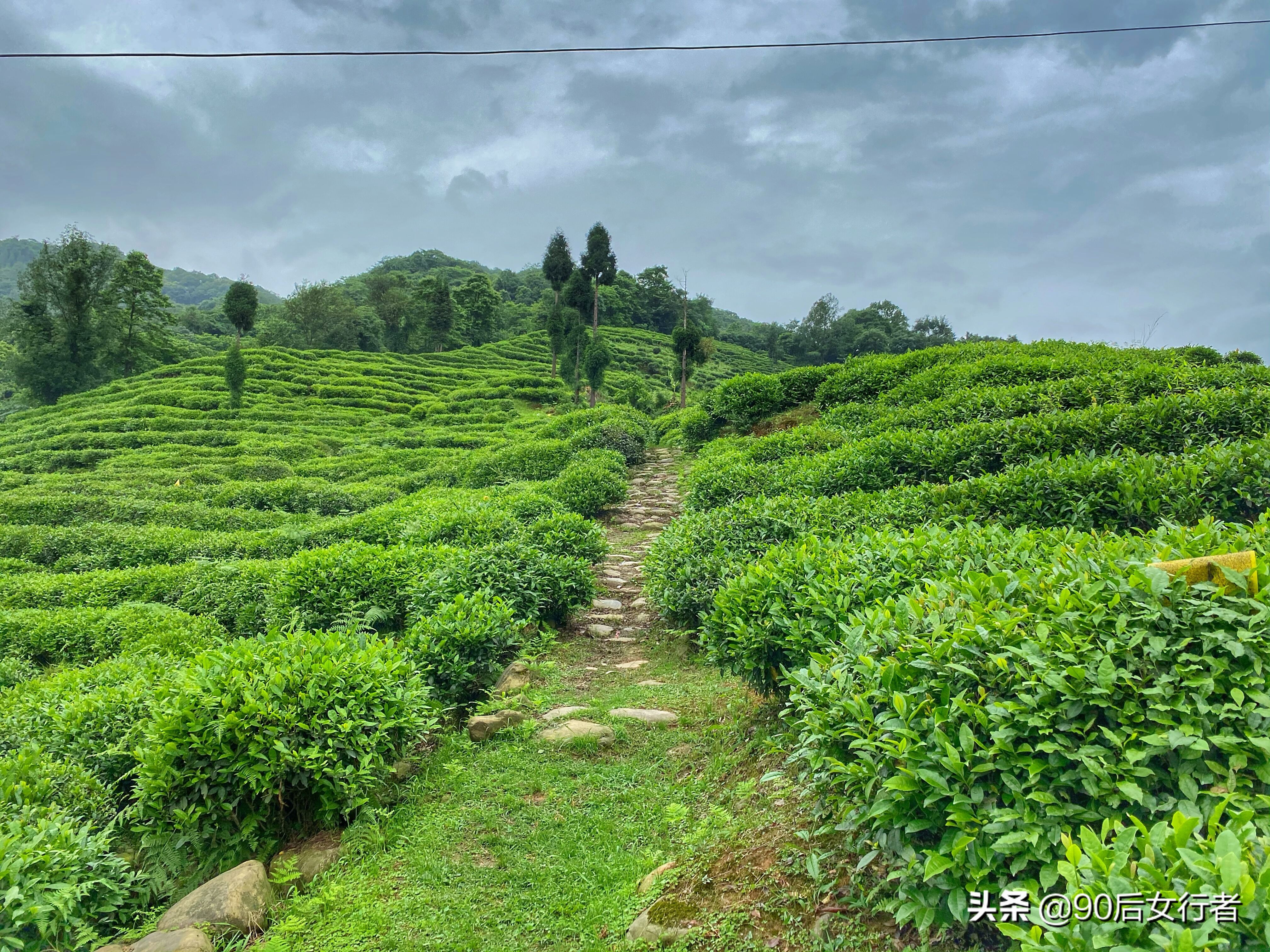 探寻青城山,探秘青城山神仙洞怎么走