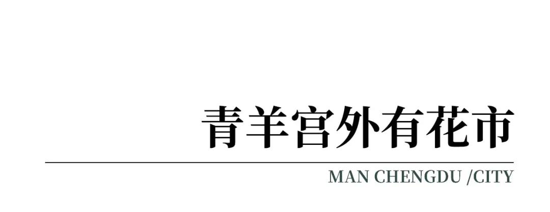 成都发现宝藏店,成都西门有哪些景点