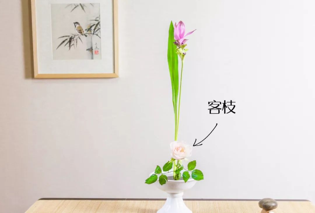 小原流花道国际标准教程,小流源花道入门教程视频