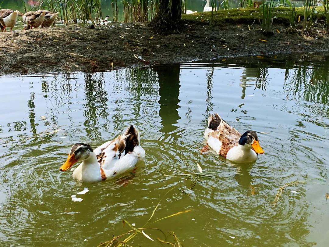 打卡郑州雕塑公园！在这里去感受人与自然，遇见不一样的郑州