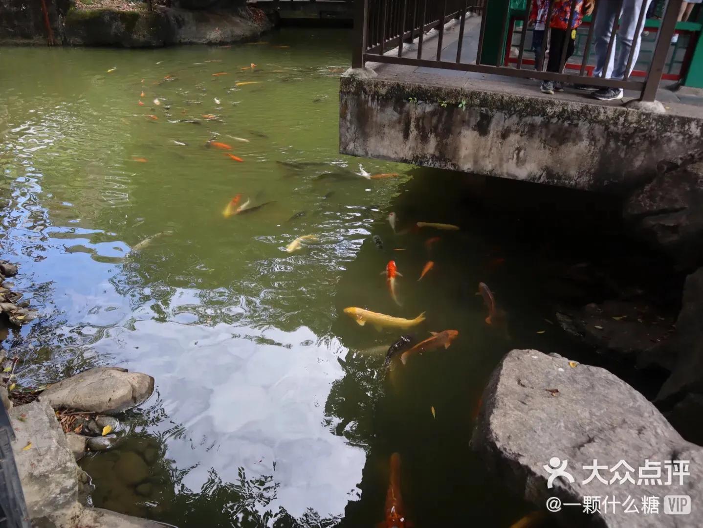 珠海旅游美食攻略自由行,珠海景点美食攻略旅游路线