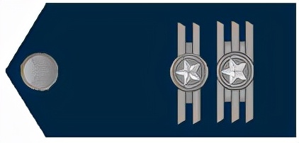 巴西军队标志,巴西海军军衔