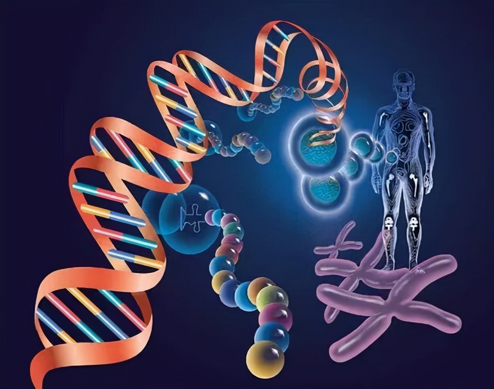 亲子鉴定那些事儿,亲子鉴定的那些事儿