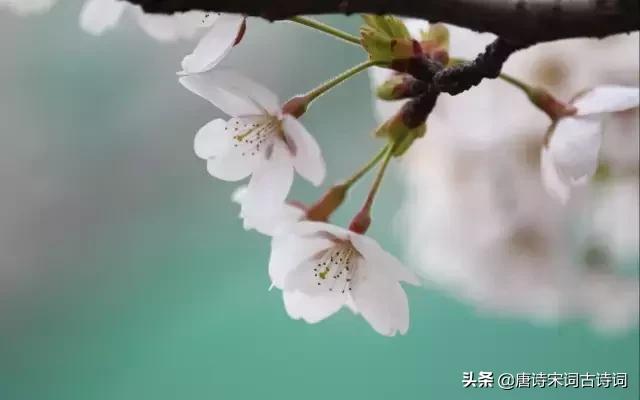 颠覆认知的古诗,颠覆认知脑洞大开的语句