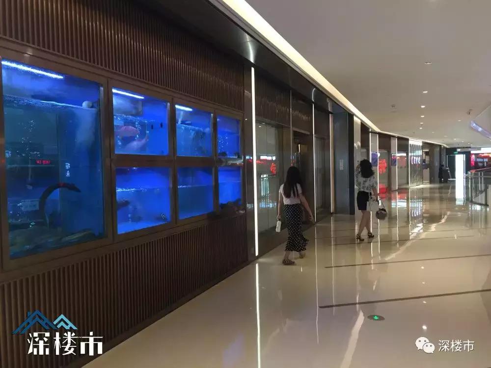 万科商业业绩,万科商业做得如何