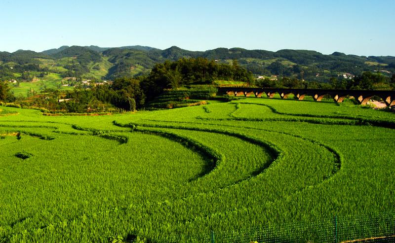 四川天府龙芽新模式,四川天府龙芽地址