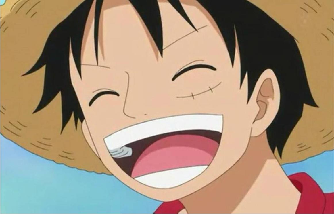 海贼王草帽海贼团经历图,海贼王草帽海贼团与敌人的对抗图