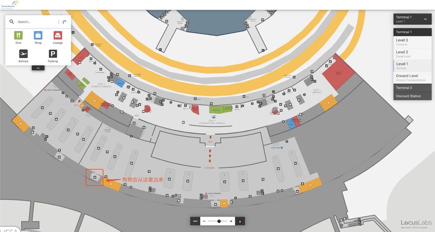 带狗狗移民,怎样带自家狗狗去国外