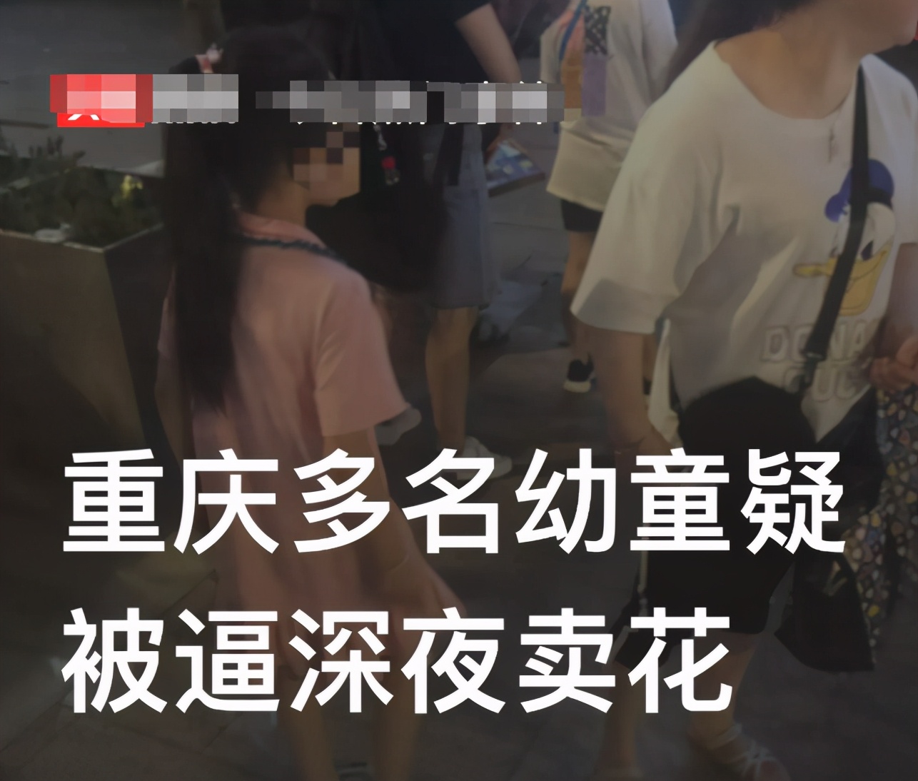 小朋友被迫卖花,幼童被逼卖花