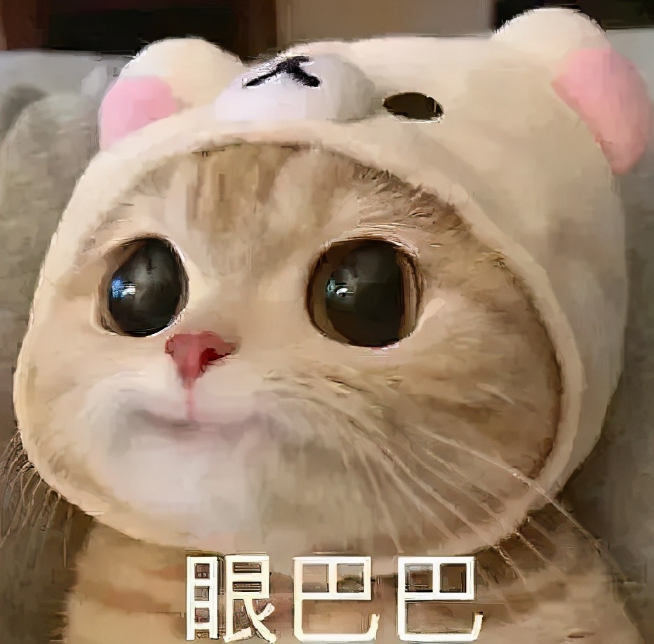 在别的城市上大学真的好吗,去哪个城市上大学最舒服