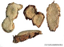 店主必备基础调味料大全，包含基础调料和用法，很全！（二）