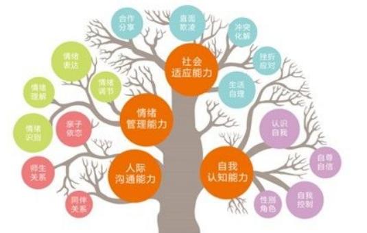 长期患有精神分裂，那么这种情况该如何改善？不妨试试下面的建议