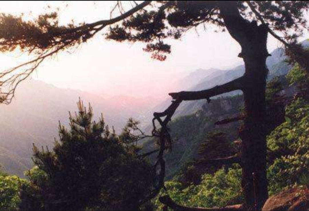 南召宝天曼地质公园,宝天曼内乡地质公园