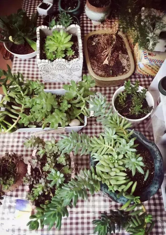 平房小户型房屋改造,40平出租房改造图片