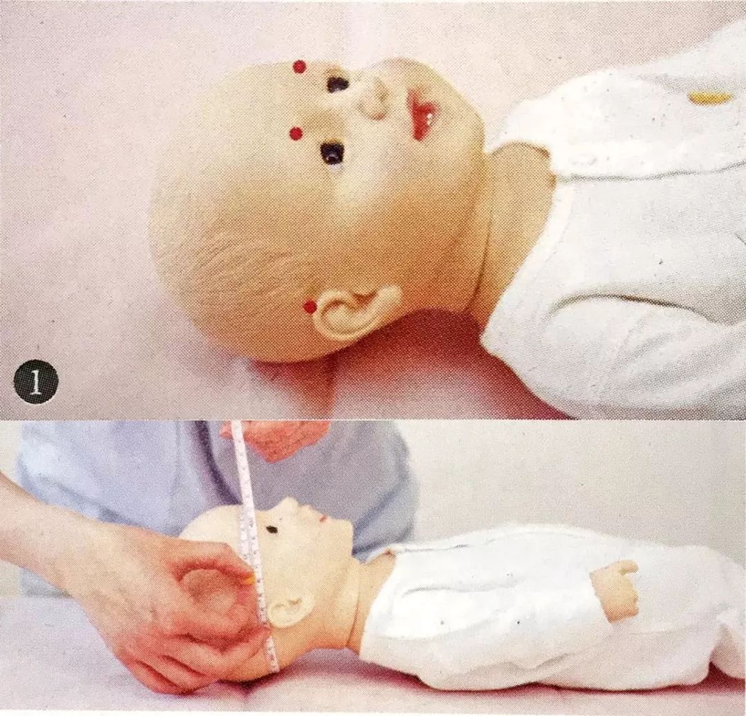 圆脸选帽子思路,小脸尖头如何选帽子