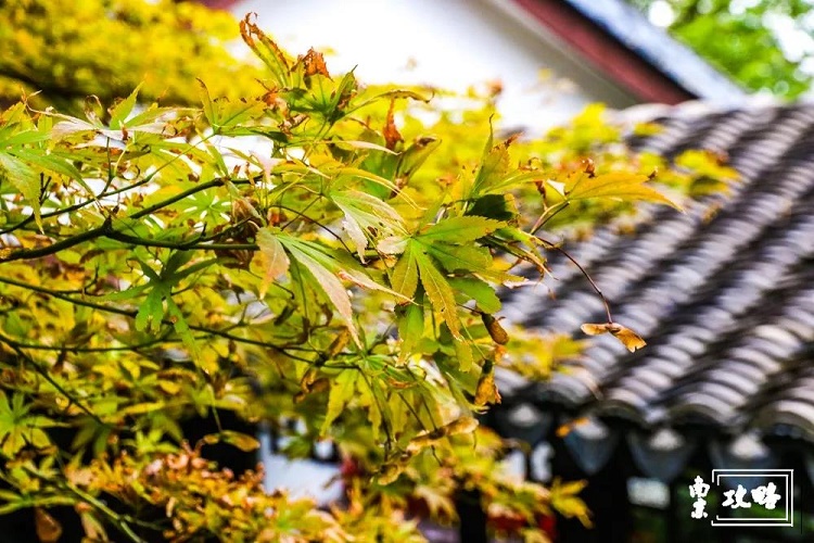 南京燕子矶游玩攻略,燕子矶游玩攻略一日游