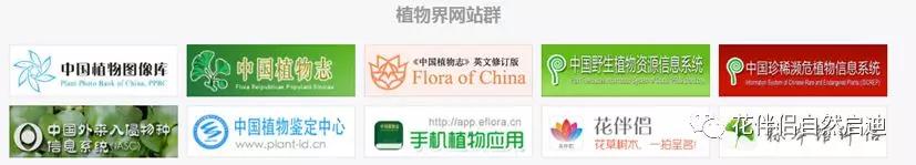 植物检索网站官网,植物检索表100种