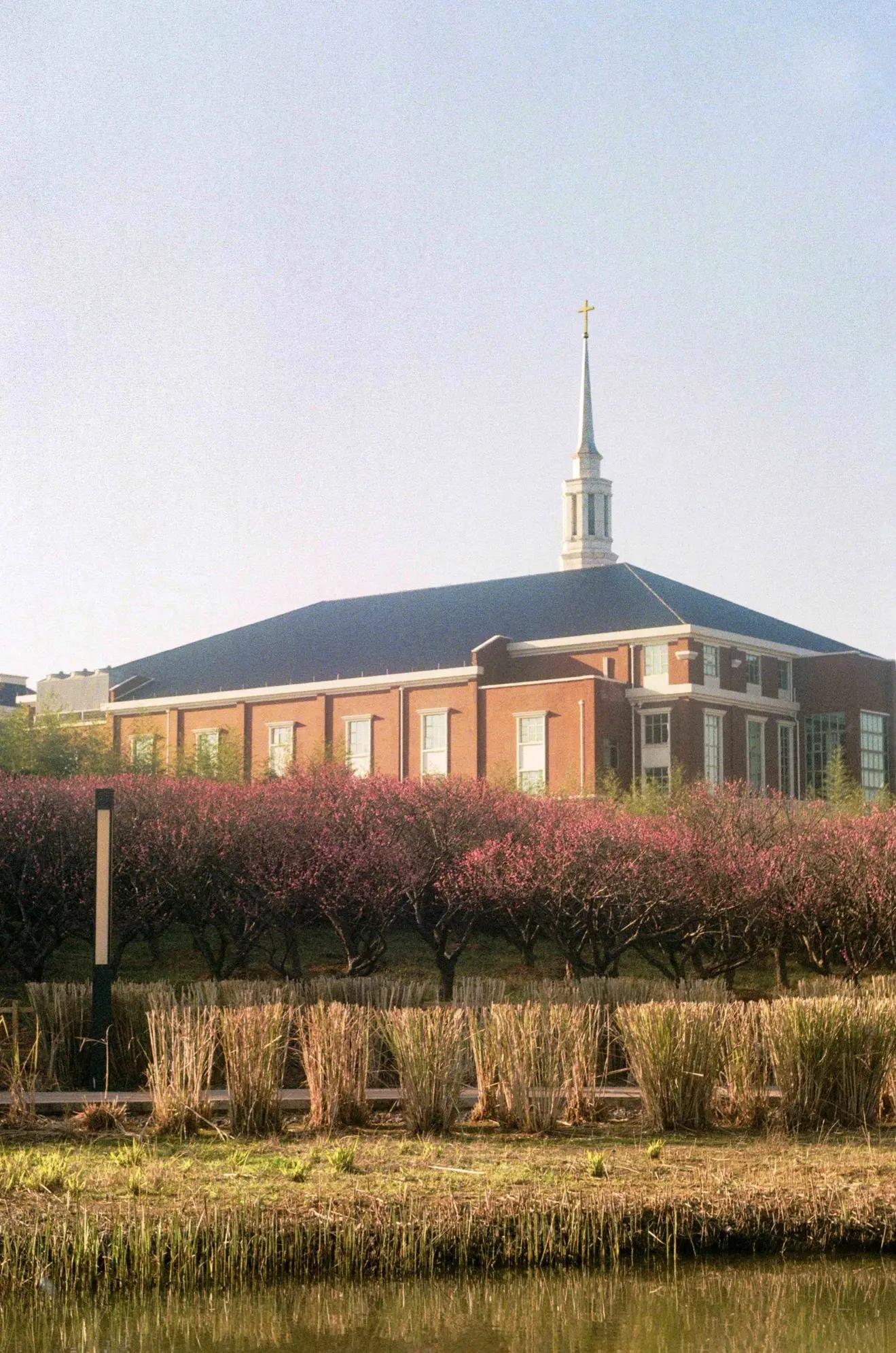 是谁发明了彩色相机,康泰时相机发展史