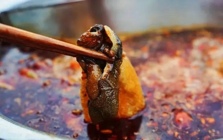 特色牛杂火锅,嘉香斋牛杂火锅怎么样