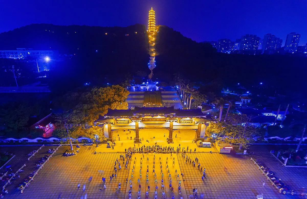 深圳花海景区推荐图片大全,深圳哪里有大片花海