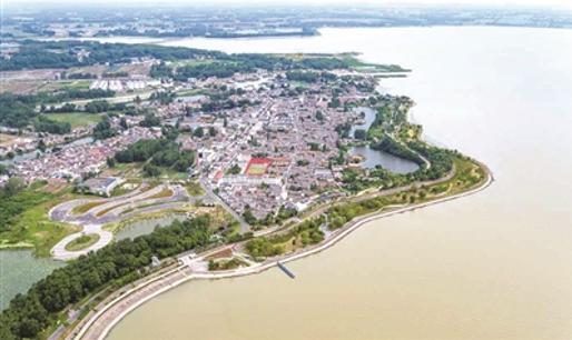 淮安乡村振兴案例,淮安蒋坝建设