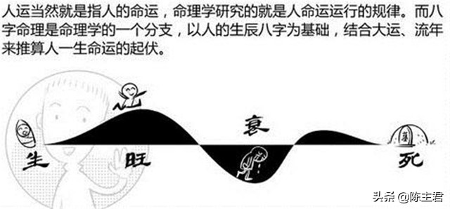 八字命理基础知识教程大全,八字命理初学必备基础知识书