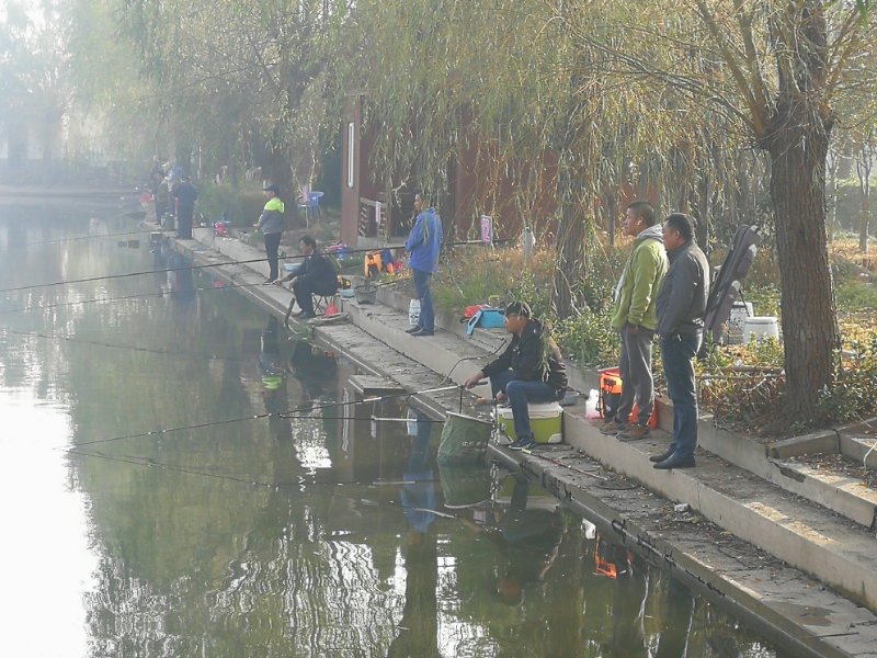 单位组织钓鱼活动,通州钓鱼活动