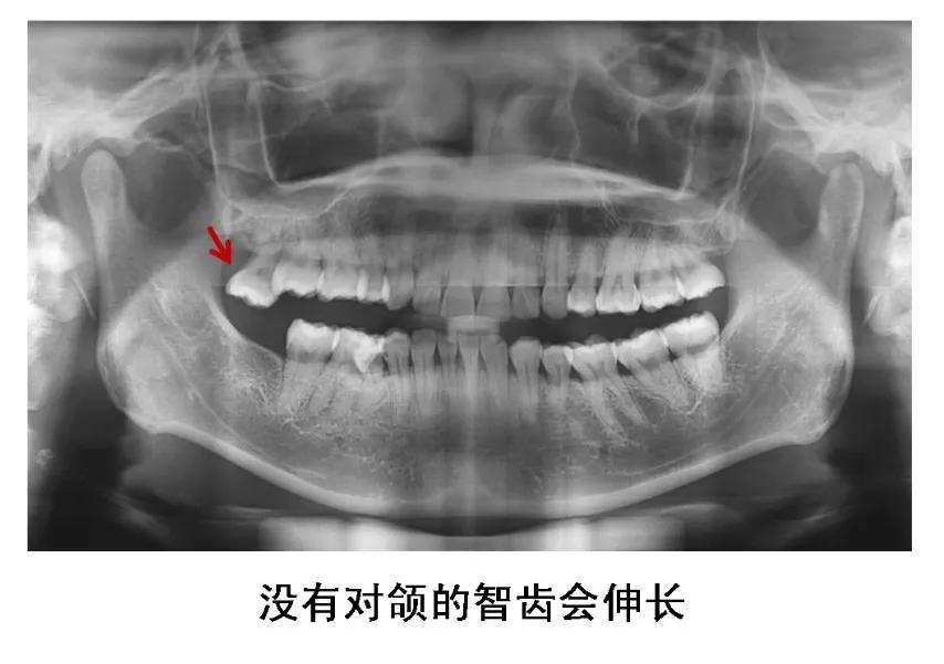 Helen榻跨涓績,helen榻跨