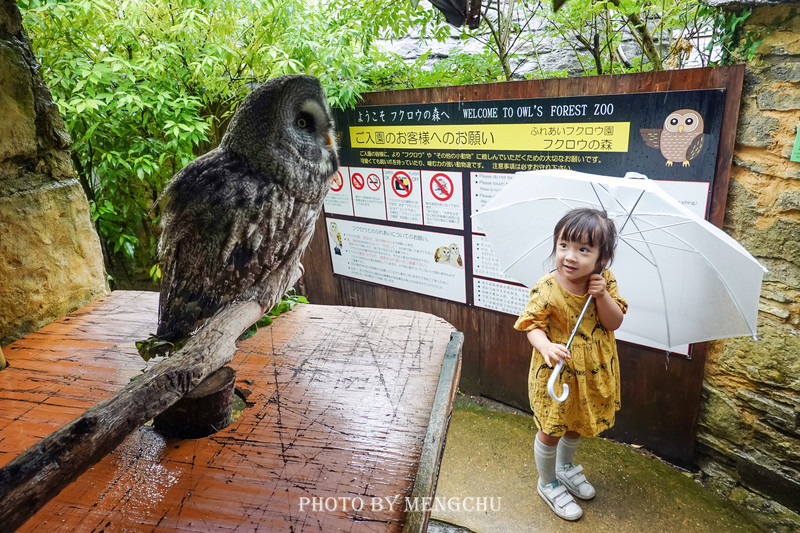 鐚ご楣板悏鍗滃姏骞绘兂,鏃ユ湰鐚挭绔ヨ瘽灏忛晣