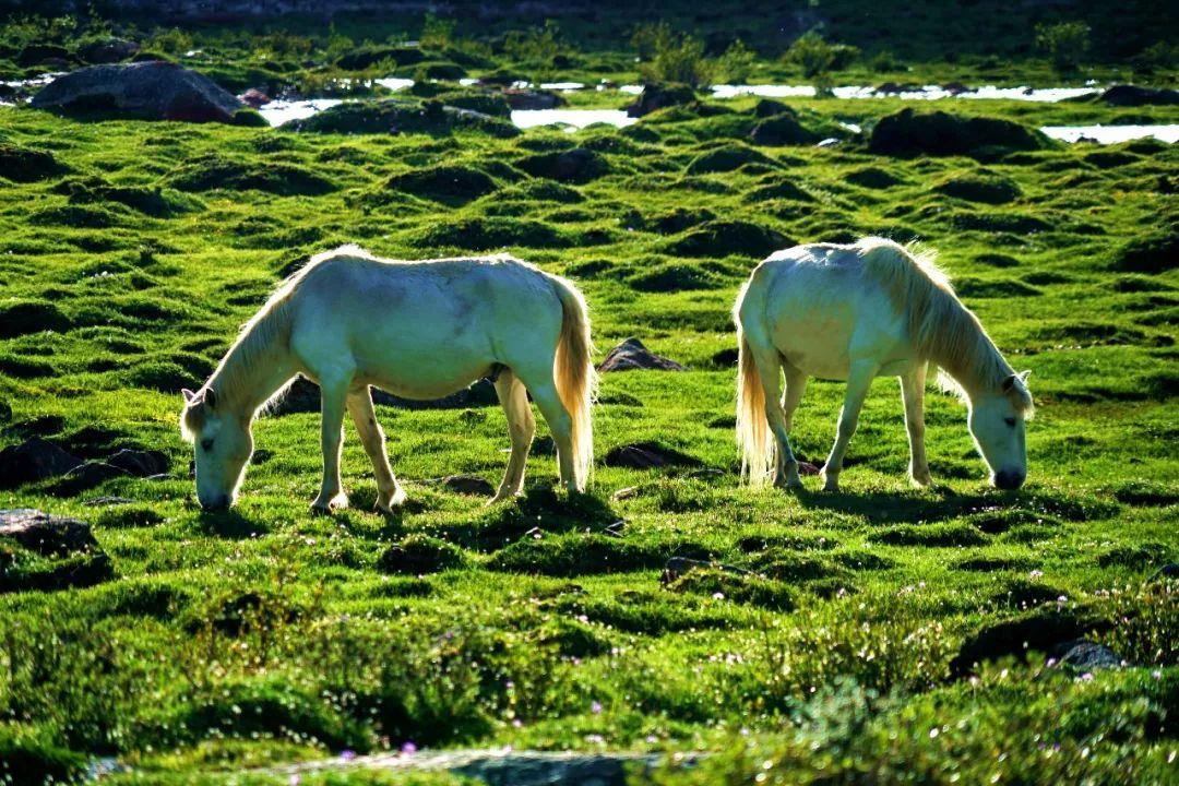 徒步新藏线什么时候开始,川藏线十大徒步路线