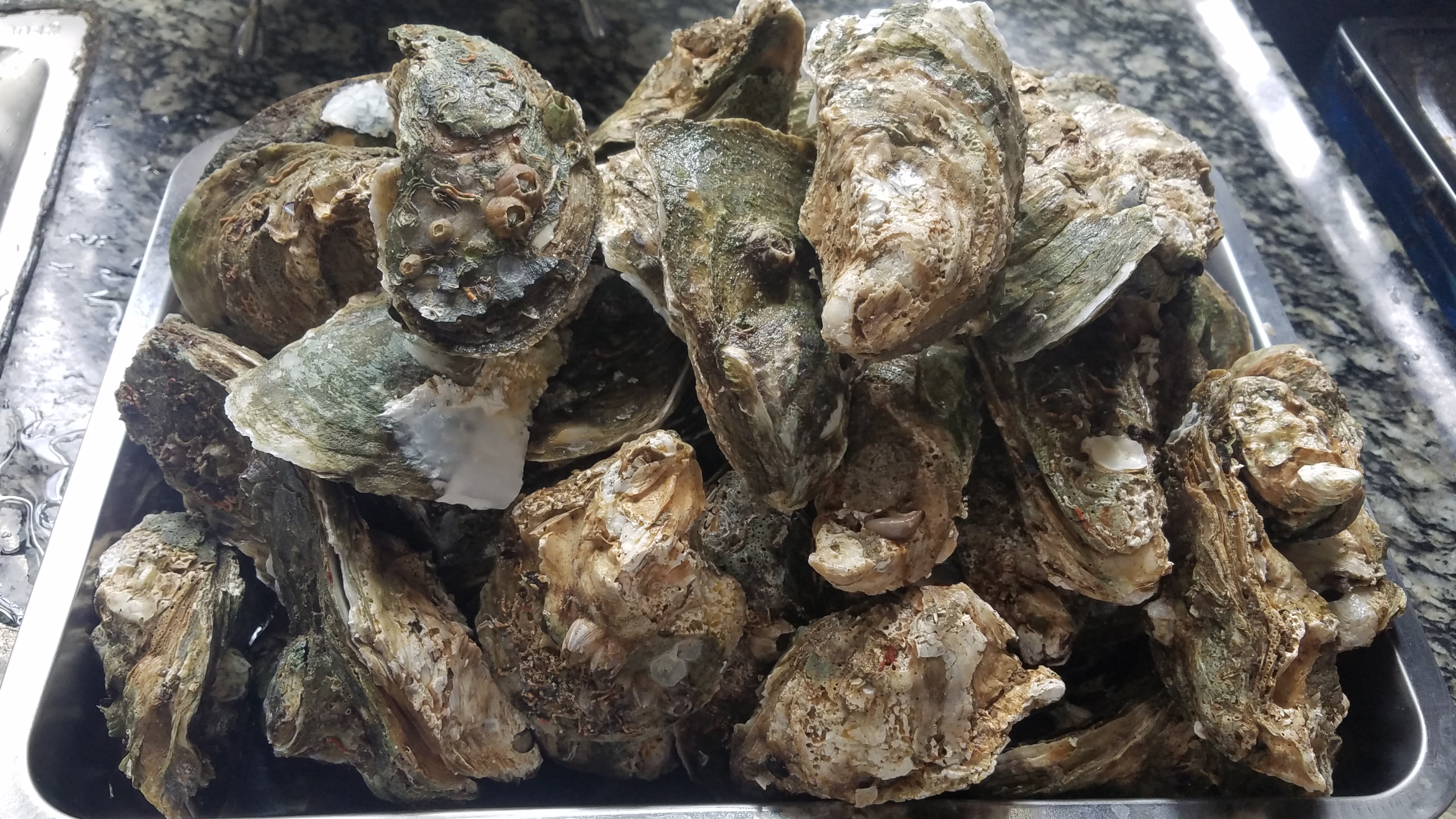 生蚝又好吃又简单的做法,生蚝的多种做法大全