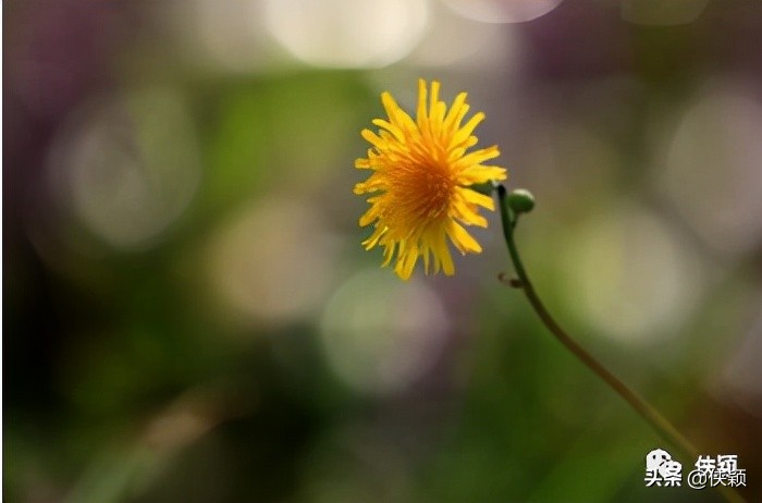 海氏职位评价法主要内容,海氏岗位价值评估系统的好处