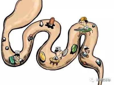 帕玛谷阿育吠陀基地,帕玛生态谷是什么