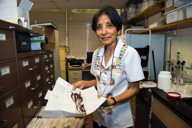 苔藓是一种非常古老的植物,苔藓是最原始的植物