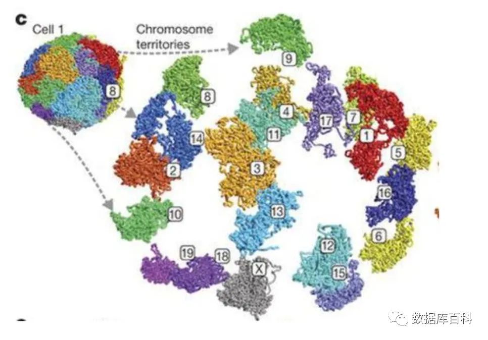 高通量测序技术怎么使用,高通量测序数据分析费用