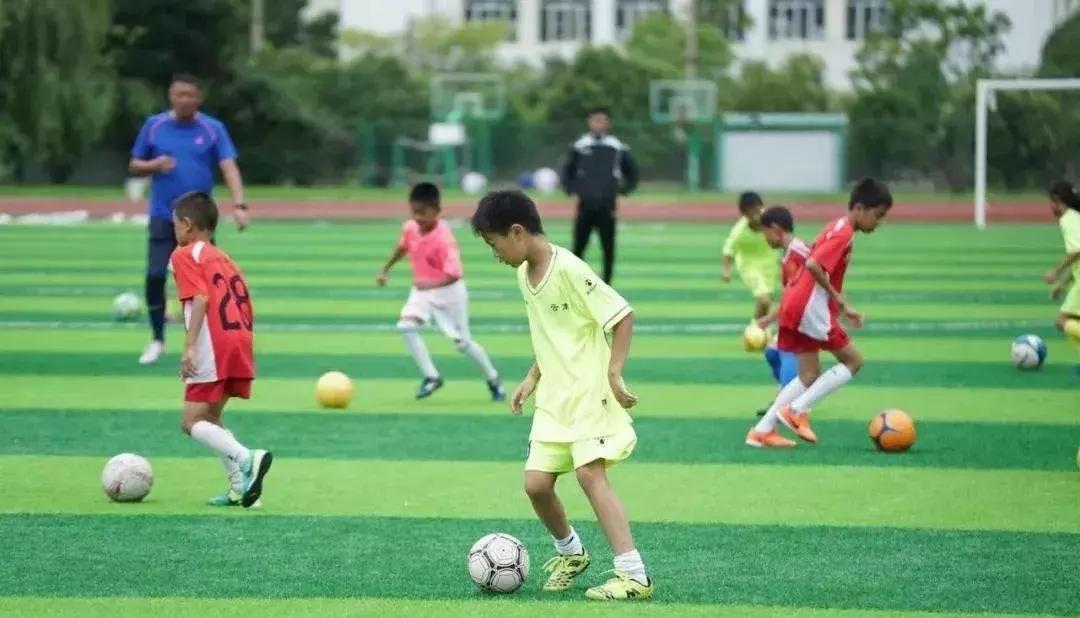 中国足球青训现状及未来,关于中国足球青训发展的一些感慨