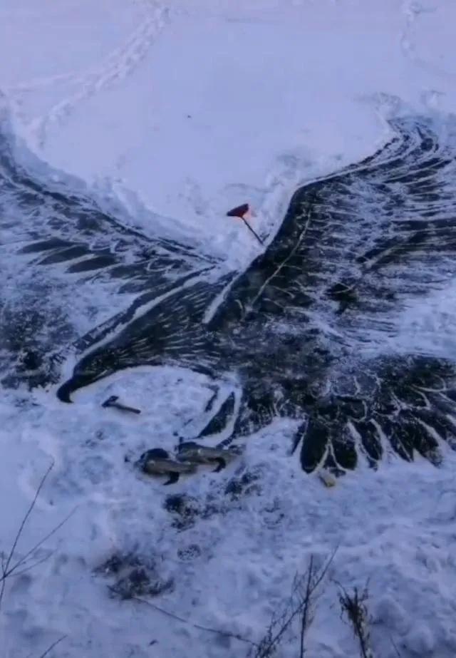 抓住冬天的小尾巴什么意思,抓住冬天的小尾巴再帅一把