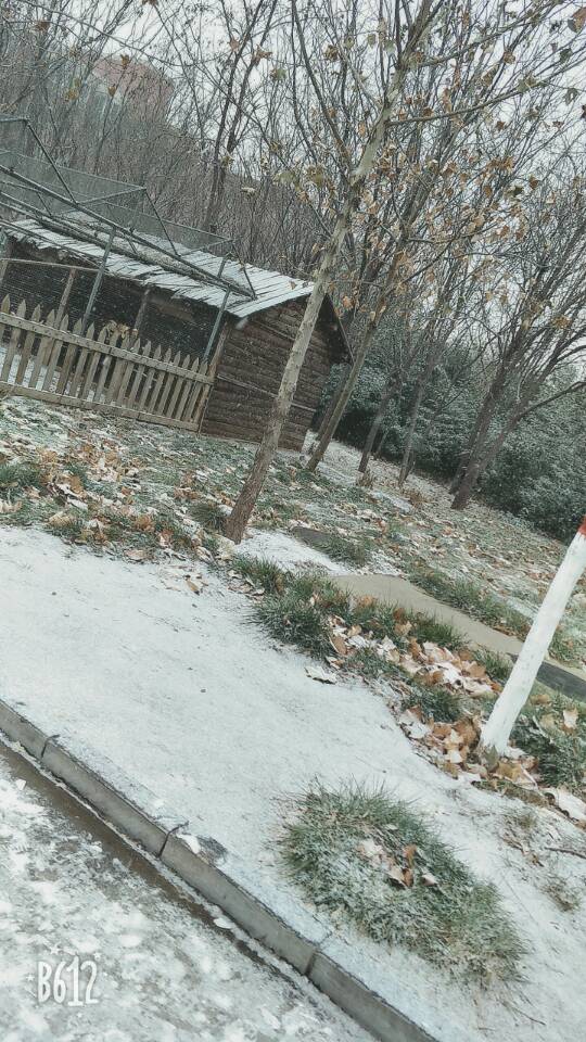 我的大学——河北政法