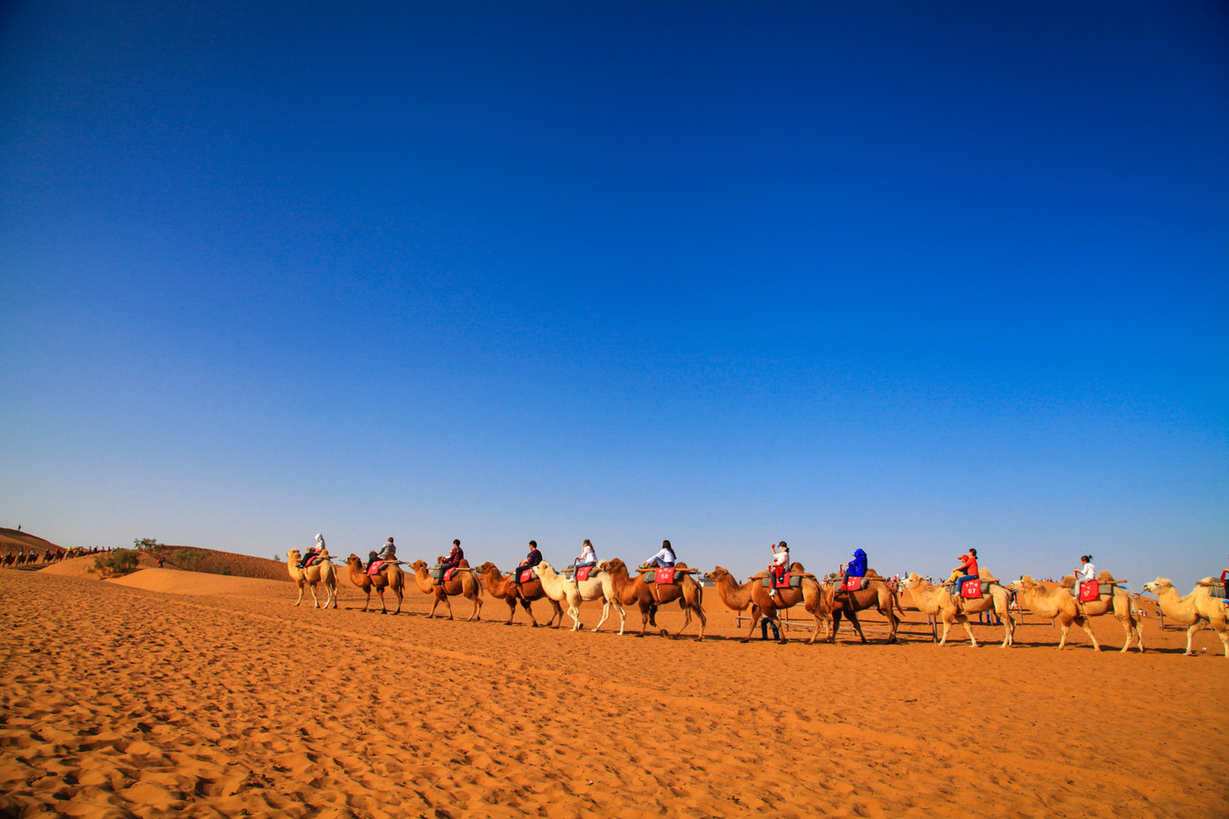 宁夏沙漠旅游住哪里好,宁夏中卫民宿价格表