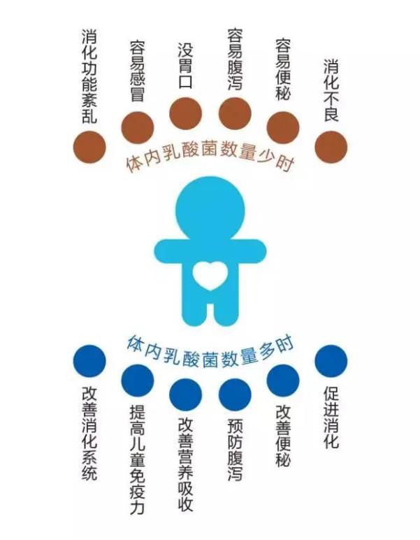 2022年乳酸菌市场动态,乳酸菌饮品市场前景