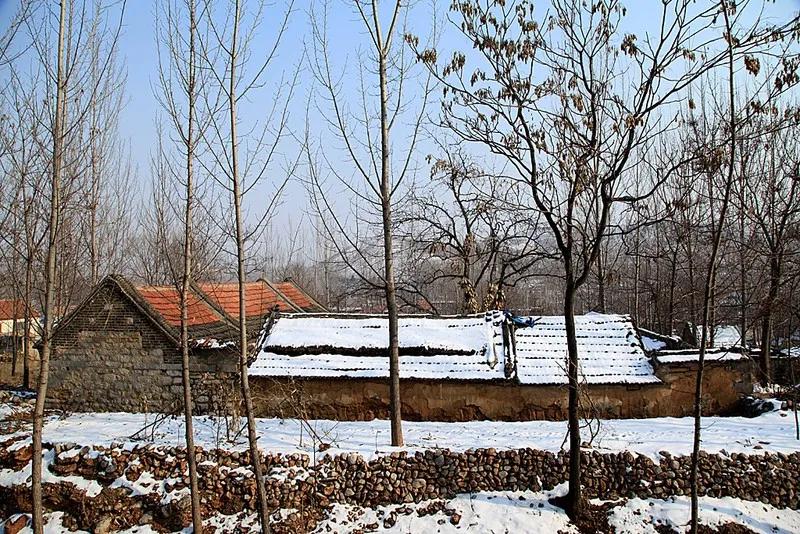 表格填写籍贯是代表什么,为什么填表时要填籍贯有什么意义