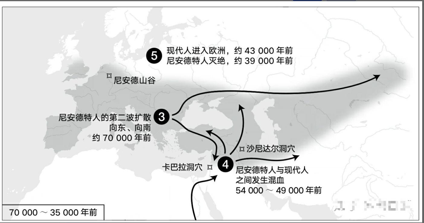 东亚人为什么有尼安德特人基因,尼安德特人和智人的混血