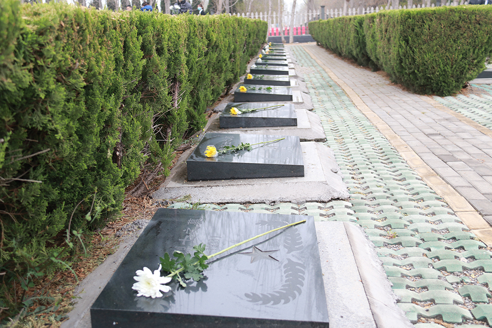 网上清明祭英烈活动登录入口,滨州清明网上祭英烈官网入口