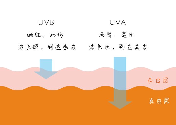 为什么很多女生化完妆会油腻？做好这两点，拥有清爽好肤感