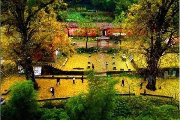 衢州乌石山福慧禅寺,乌石山福慧禅寺