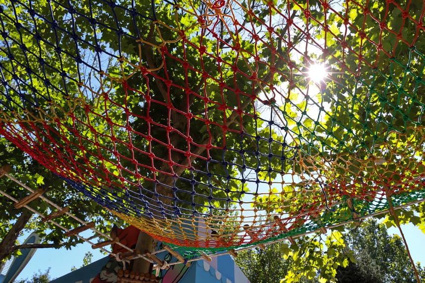 3250万像素仅售7649元，佳能新出的90D单反究竟有多香？