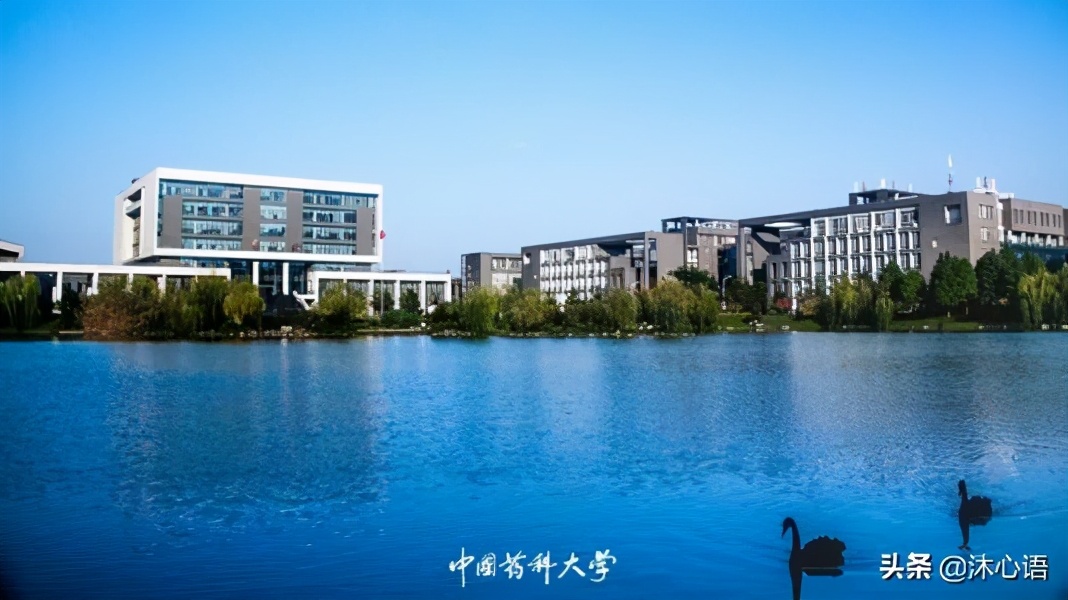 新高考志愿填报学校排名,新高考志愿报考院校专业全攻略