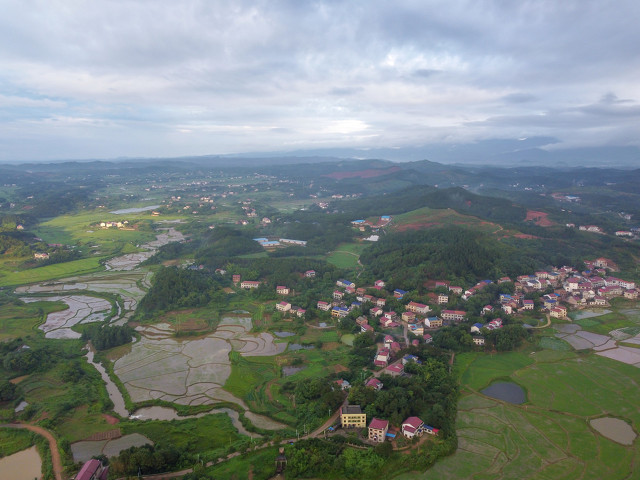湖南女人追到东莞，找到湖北男人，老杨和李心怡能走到一起吗