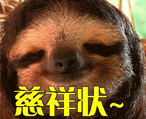 用喷嚏来投票?不可思议的方式,让非洲野狗团队更民主更团结